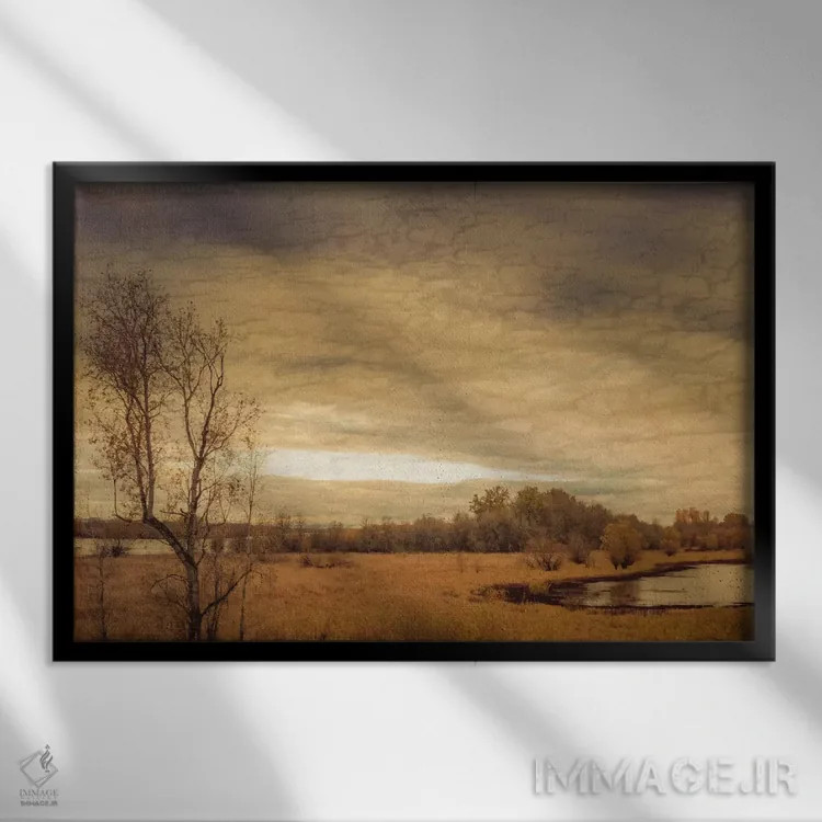 تابلو غازها روی برکه اثر دان شوارتز - نمای قابدار مشکی