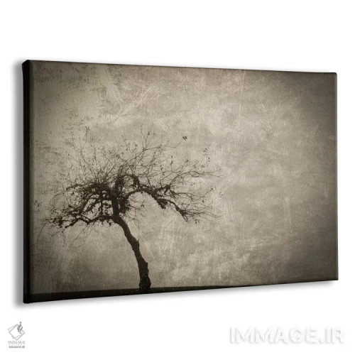 تابلو تنها در زمستان اثر دان شوارتز - نمای پرسپکتیو محصول