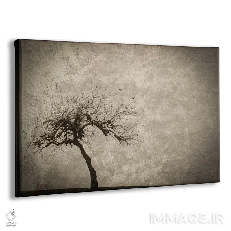 تابلو تنها در زمستان اثر دان شوارتز - نمای پرسپکتیو محصول