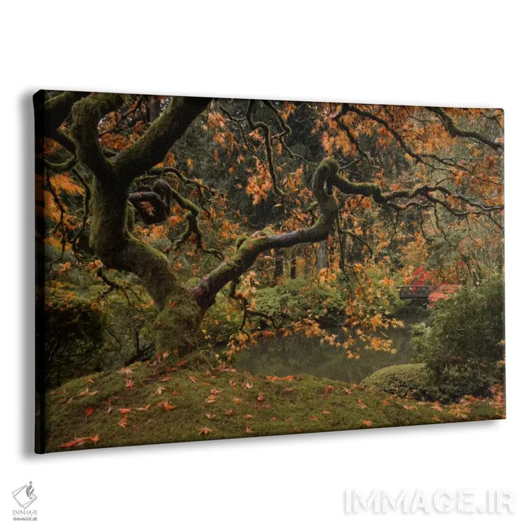 تابلو پاییز طلایی در باغ اثر دان شوارتز - نمای پرسپکتیو محصول