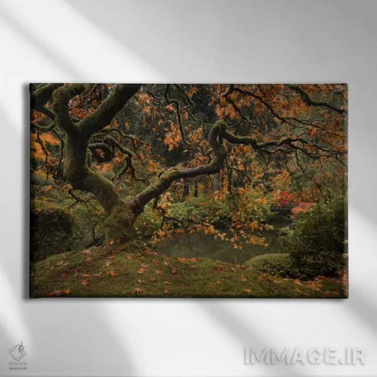 تابلو پاییز طلایی در باغ اثر دان شوارتز - نمای روبهرو روی دیوار