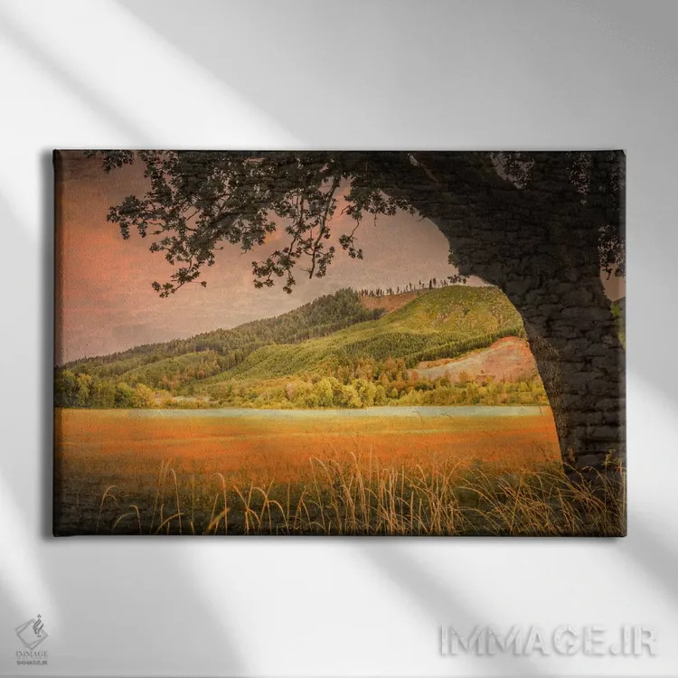 تابلو نمای تپه اثر دان شوارتز - نمای روبهرو روی دیوار