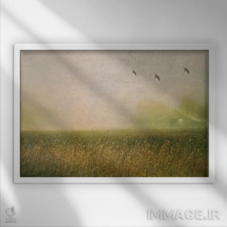 تابلو انبار مهآلود در میان گلهای آفتابگردان اثر دان شوارتز - نمای قابدار سفید