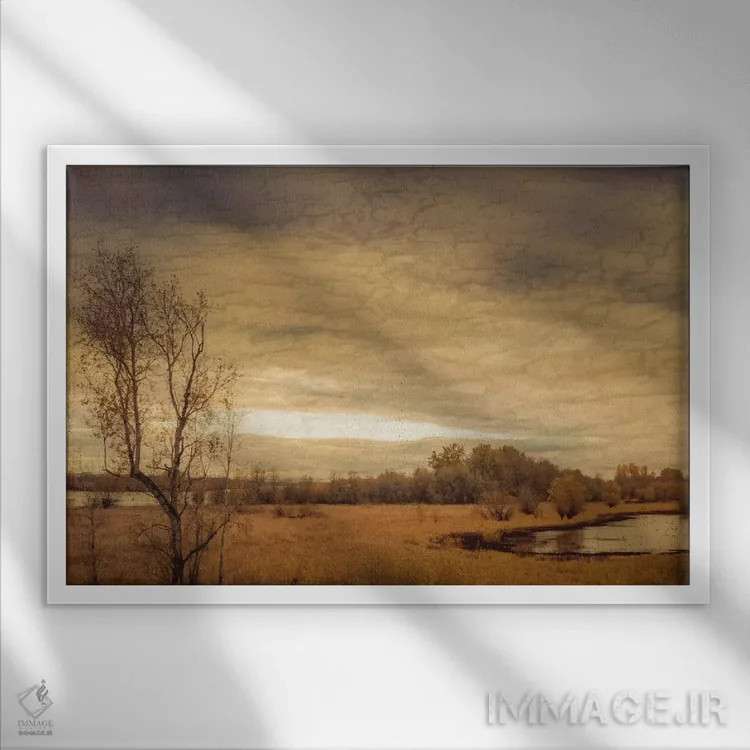 تابلو غازها روی برکه اثر دان شوارتز - نمای قابدار سفید