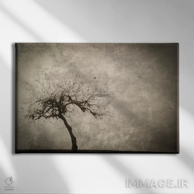تابلو تنها در زمستان اثر دان شوارتز - نمای روبهرو روی دیوار