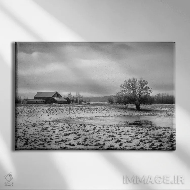 تابلو در مرتع برفی اثر دان شوارتز - نمای روبهرو روی دیوار