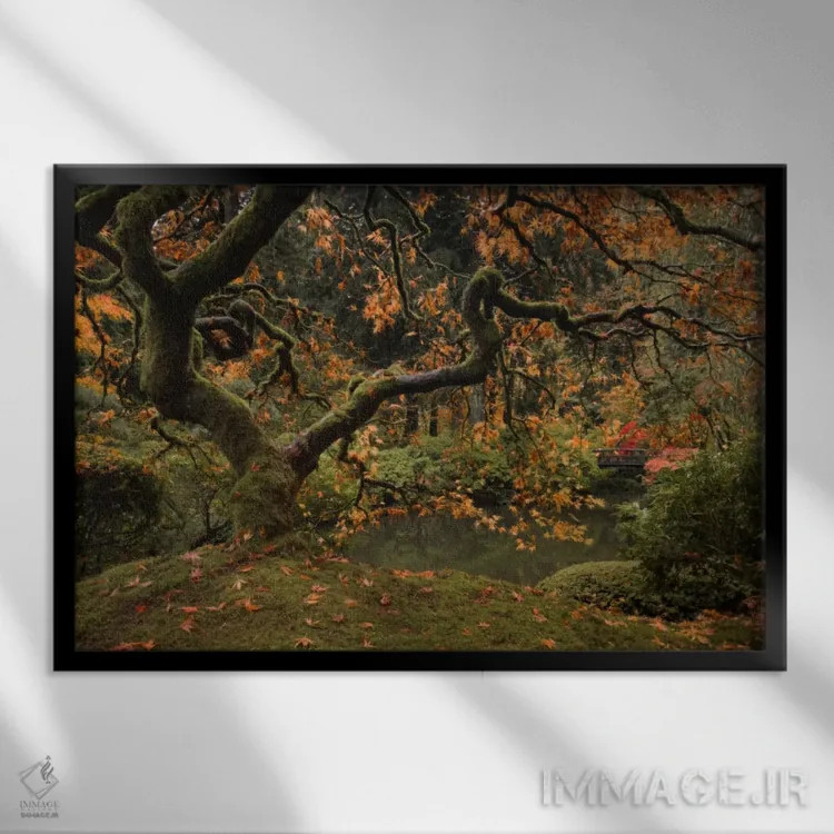 تابلو پاییز طلایی در باغ اثر دان شوارتز - نمای قابدار مشکی