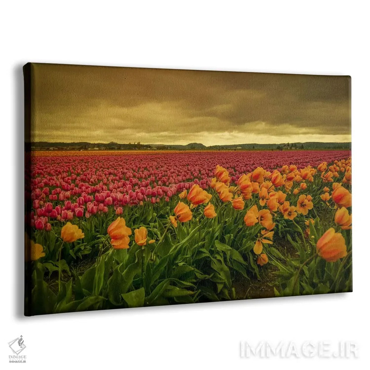 تابلو لالههای خمیده یک اثر دان شوارتز - نمای پرسپکتیو محصول