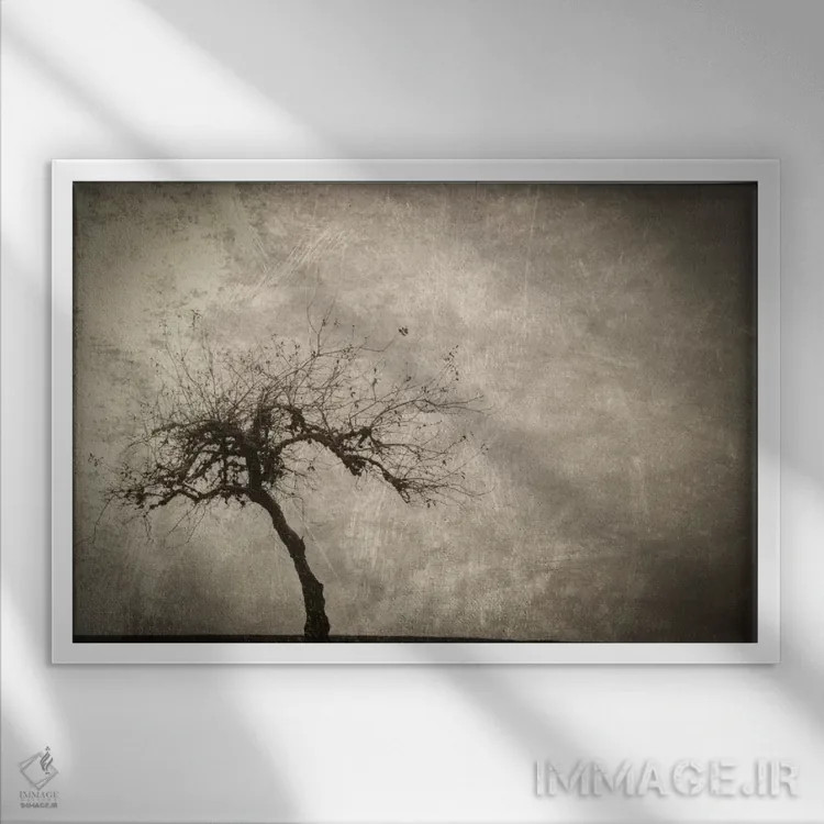 تابلو تنها در زمستان اثر دان شوارتز - نمای قابدار سفید