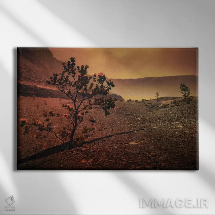 تابلو درخت لاوا اثر دان شوارتز - نمای روبهرو روی دیوار