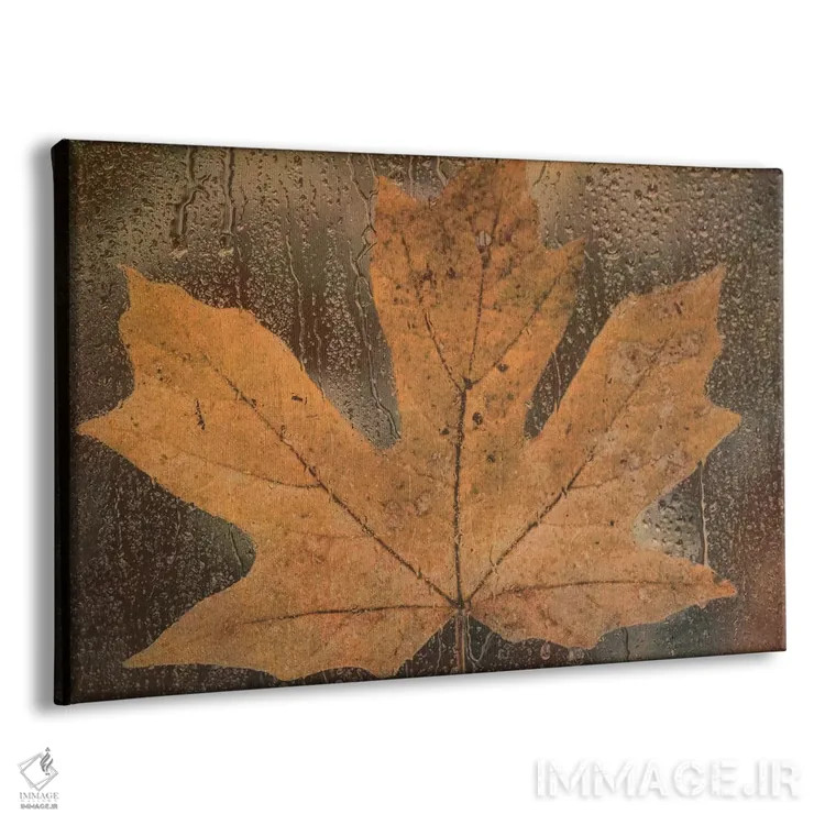 تابلو برگ افرا در باران اثر دان شوارتز - نمای پرسپکتیو محصول