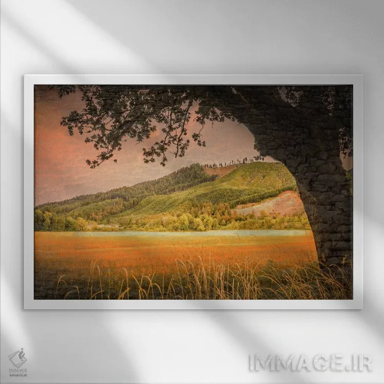 تابلو نمای تپه اثر دان شوارتز - نمای قابدار سفید