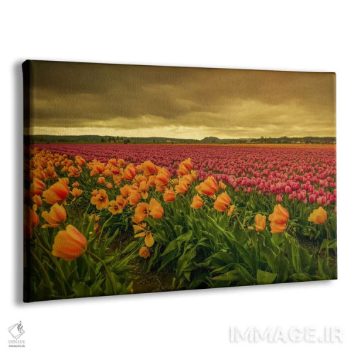 تابلو لالههای خمیده دو اثر دان شوارتز - نمای پرسپکتیو محصول