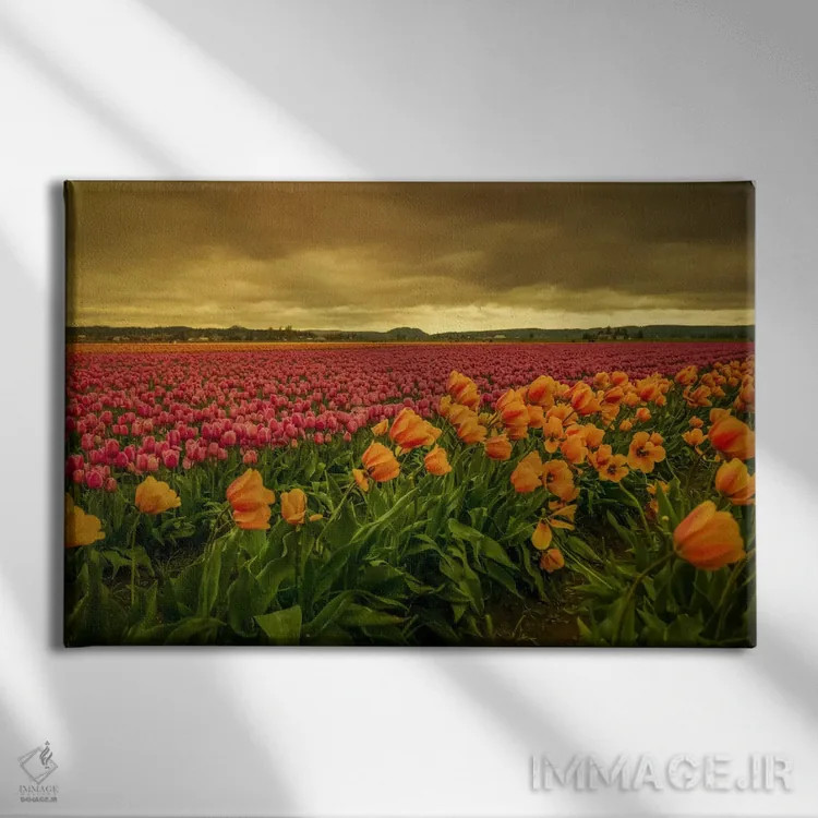 تابلو لالههای خمیده یک اثر دان شوارتز - نمای روبهرو روی دیوار