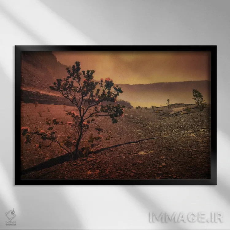 تابلو درخت لاوا اثر دان شوارتز - نمای قابدار مشکی