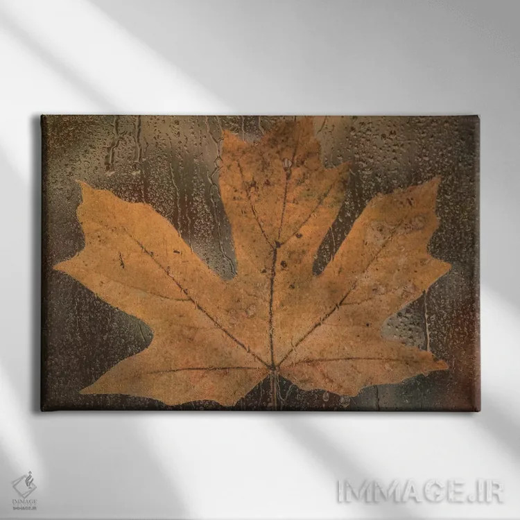 تابلو برگ افرا در باران اثر دان شوارتز - نمای روبهرو روی دیوار