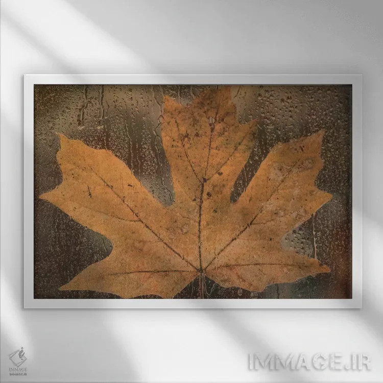 تابلو برگ افرا در باران اثر دان شوارتز - نمای قابدار سفید