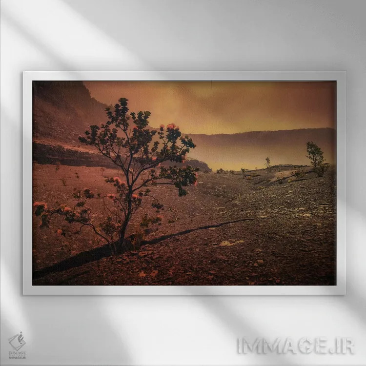 تابلو درخت لاوا اثر دان شوارتز - نمای قابدار سفید