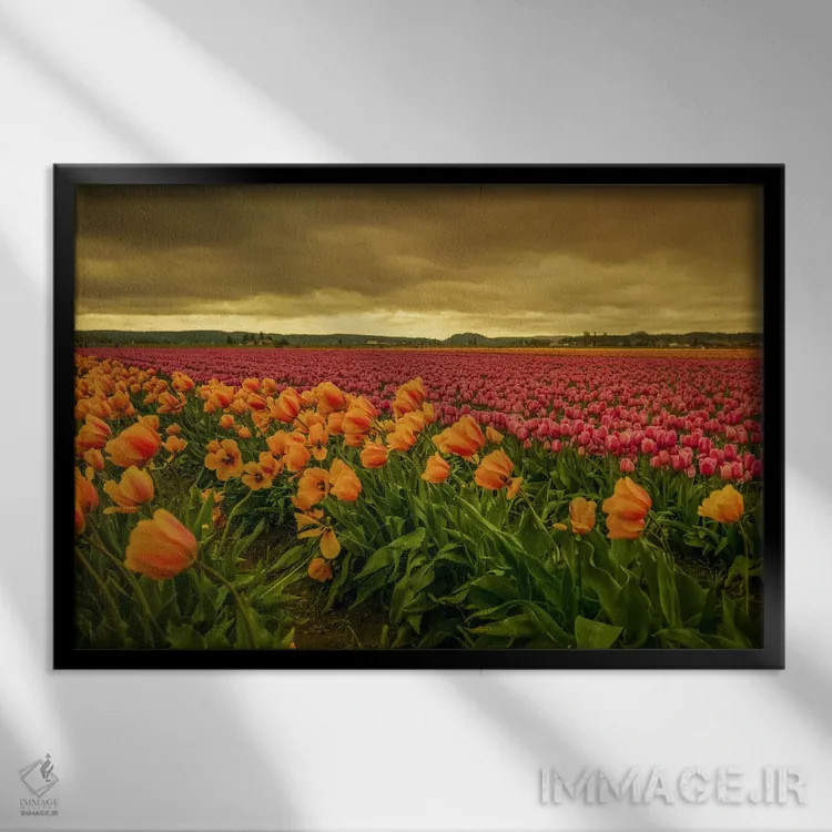 تابلو لالههای خمیده دو اثر دان شوارتز - نمای قابدار مشکی