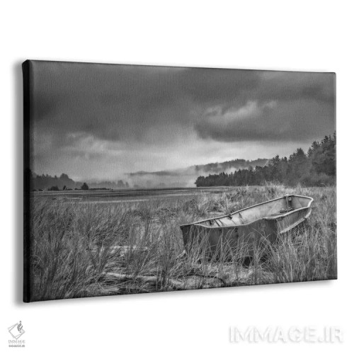 تابلو قایق پارویی در میان علفهای تپه شنی اثر دان شوارتز - نمای پرسپکتیو محصول