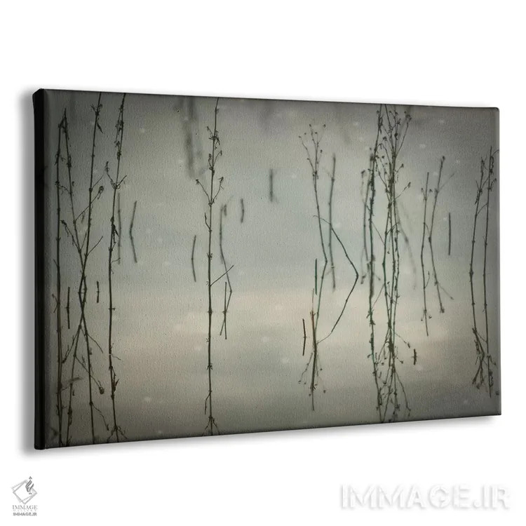 تابلو نیزارها اثر دان شوارتز - نمای پرسپکتیو محصول