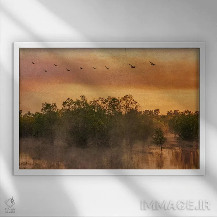 تابلو مه برمیخیزد اثر دان شوارتز - نمای قابدار سفید