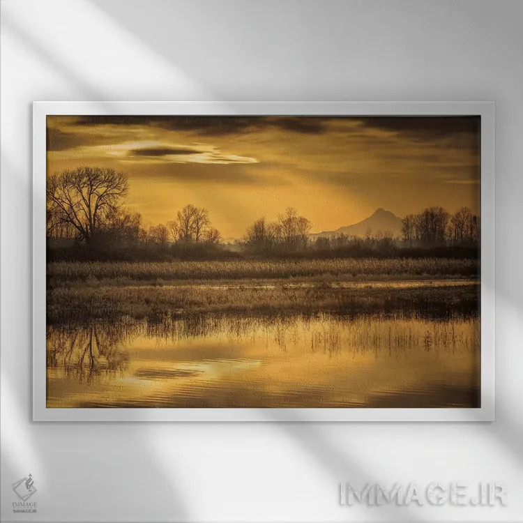 تابلو طلوع صبح اثر دان شوارتز - نمای قابدار سفید