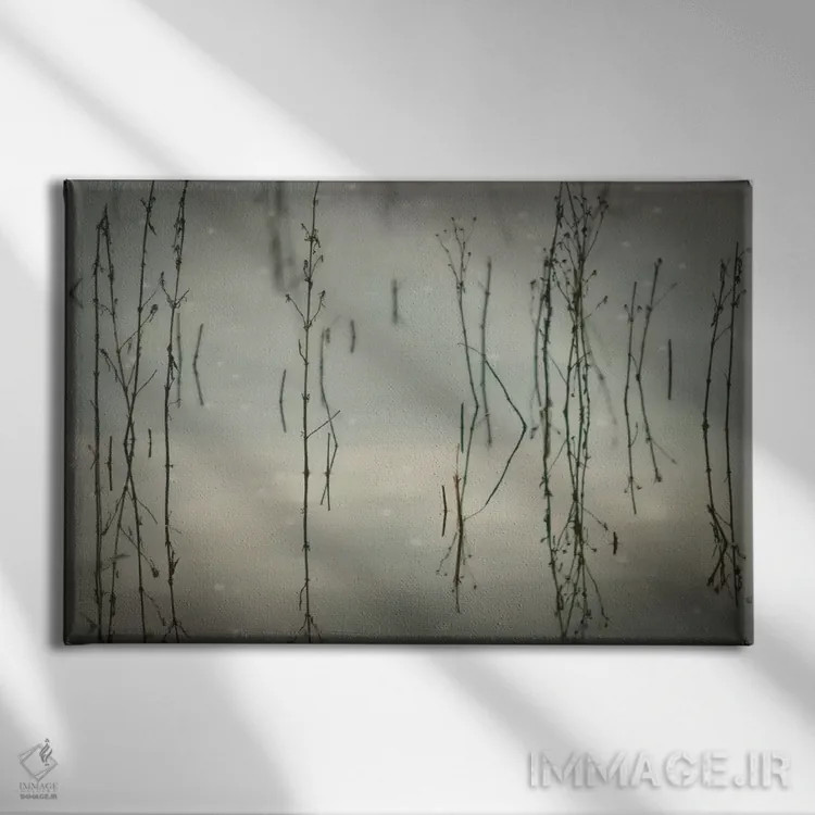 تابلو نیزارها اثر دان شوارتز - نمای روبهرو روی دیوار