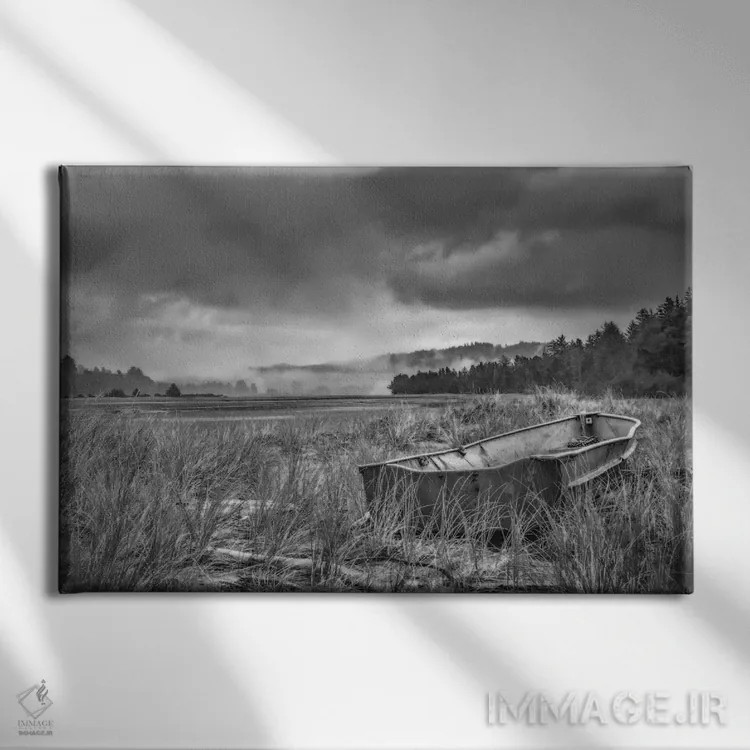تابلو قایق پارویی در میان علفهای تپه شنی اثر دان شوارتز - نمای روبهرو روی دیوار