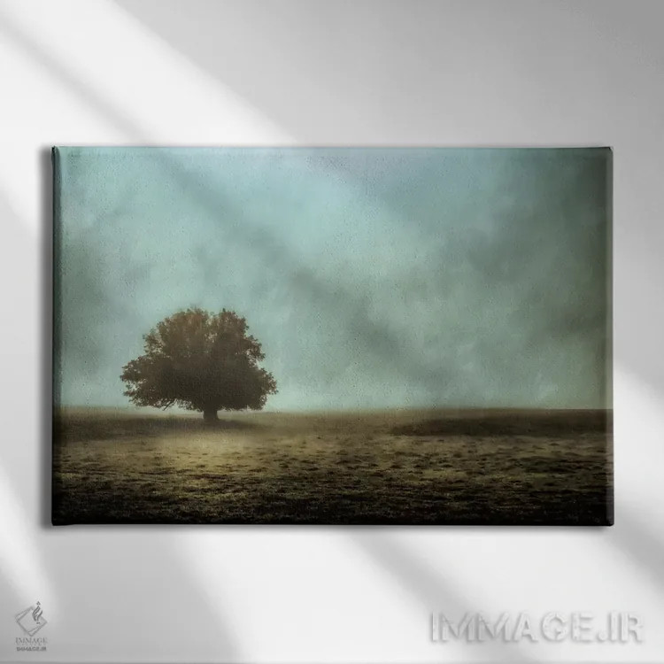 تابلو ساکت و بیحرکت اثر دان شوارتز - نمای روبهرو روی دیوار