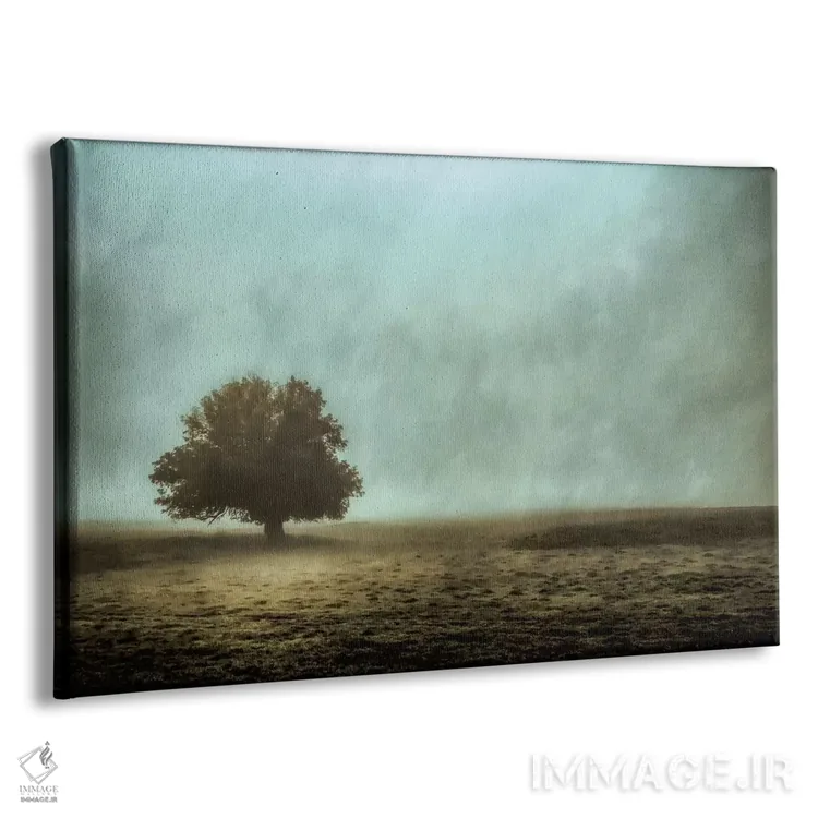 تابلو ساکت و بیحرکت اثر دان شوارتز - نمای پرسپکتیو محصول