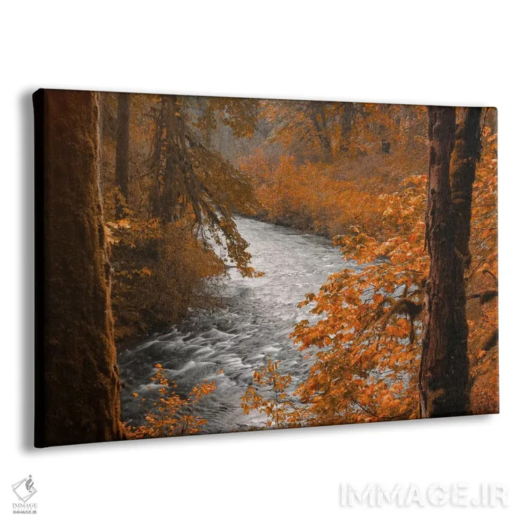 تابلو جویبار نقرهای اثر دان شوارتز - نمای پرسپکتیو محصول