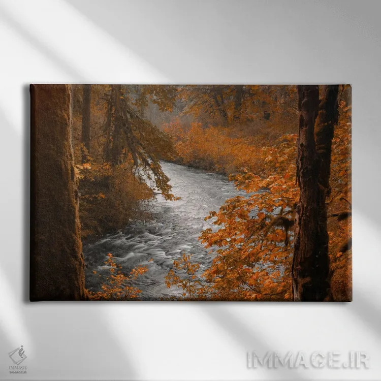 تابلو جویبار نقرهای اثر دان شوارتز - نمای روبهرو روی دیوار