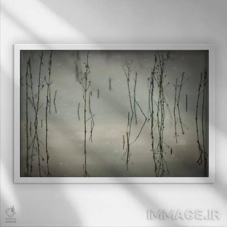 تابلو نیزارها اثر دان شوارتز - نمای قابدار سفید