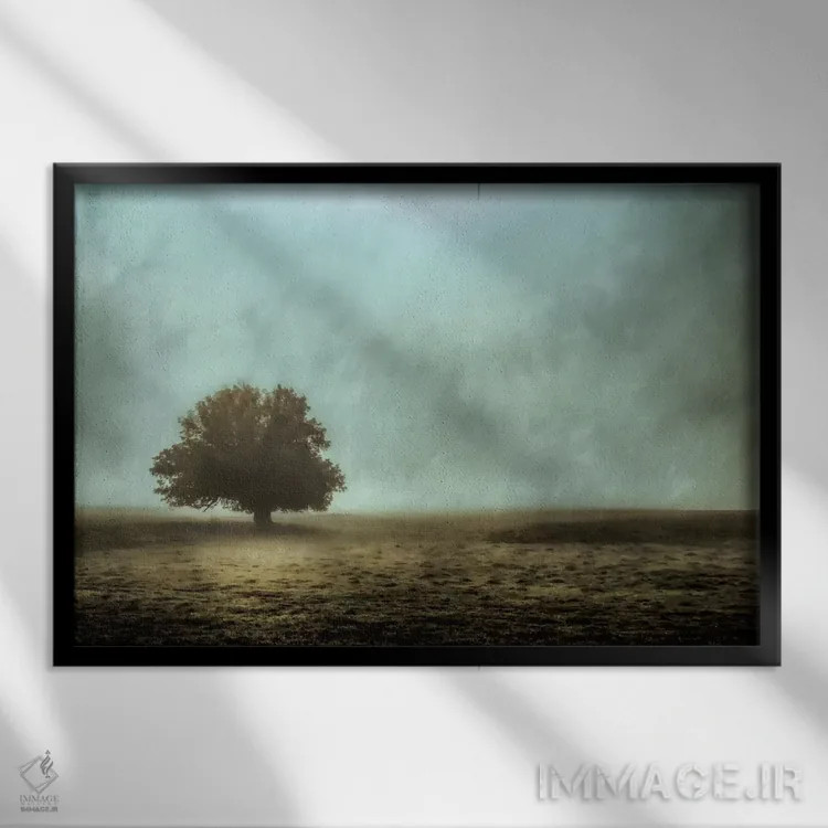 تابلو ساکت و بیحرکت اثر دان شوارتز - نمای قابدار مشکی