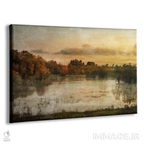 تابلو اراضی مرطوب بهاری اثر دان شوارتز - نمای پرسپکتیو محصول