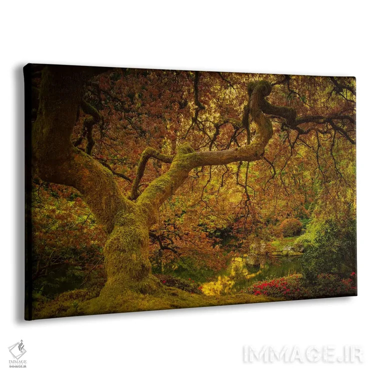 تابلو درخت افرا در بهار اثر دان شوارتز - نمای پرسپکتیو محصول