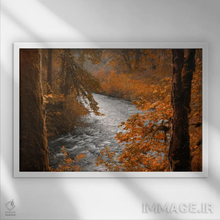 تابلو جویبار نقرهای اثر دان شوارتز - نمای قابدار سفید