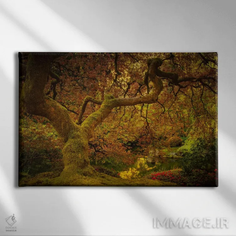 تابلو درخت افرا در بهار اثر دان شوارتز - نمای روبهرو روی دیوار