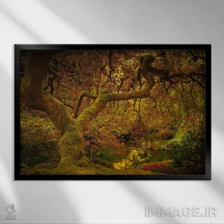 تابلو درخت افرا در بهار اثر دان شوارتز - نمای قابدار مشکی