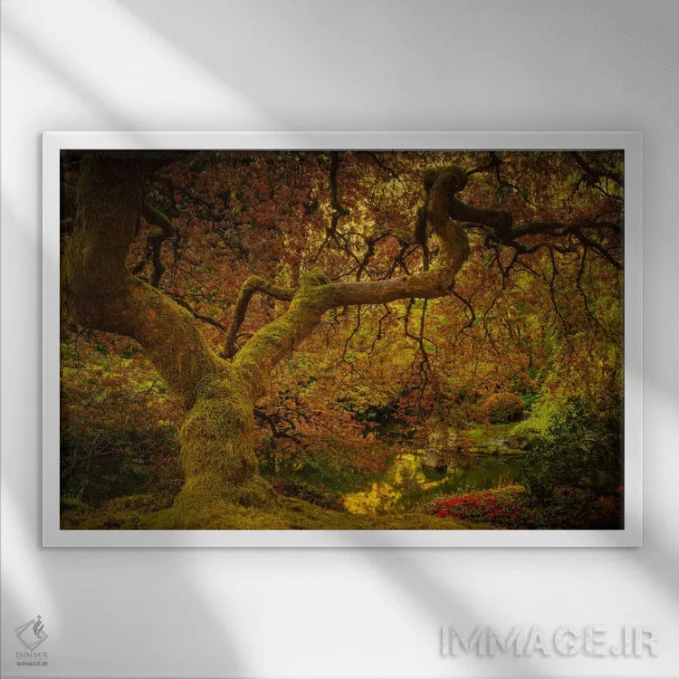 تابلو درخت افرا در بهار اثر دان شوارتز - نمای قابدار سفید