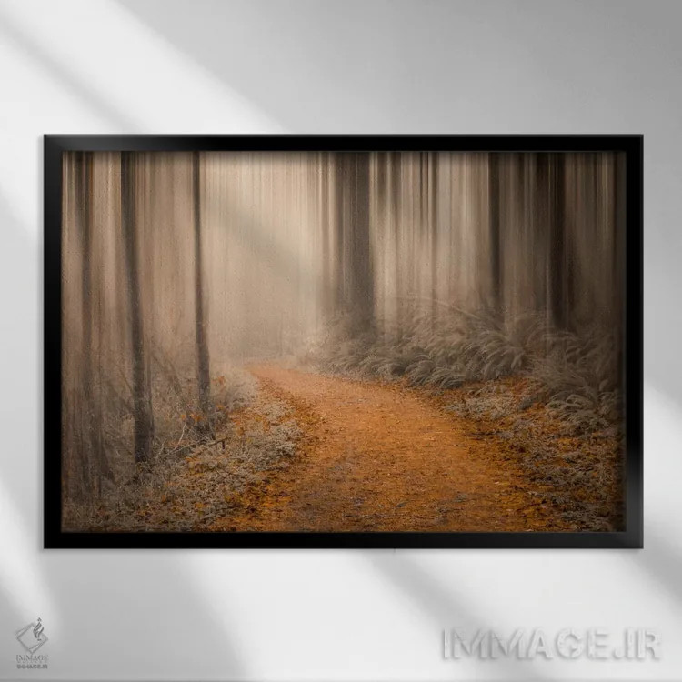 تابلو در دل جنگل چهار اثر دان شوارتز - نمای قابدار مشکی