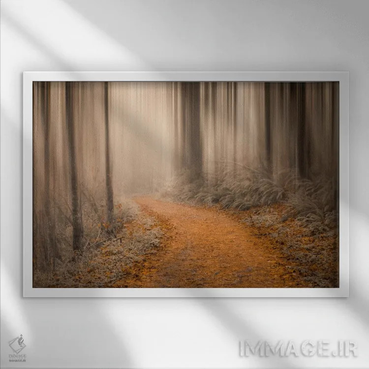 تابلو در دل جنگل چهار اثر دان شوارتز - نمای قابدار سفید