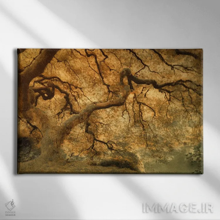 تابلو پیچ و خمها اثر دان شوارتز - نمای روبهرو روی دیوار