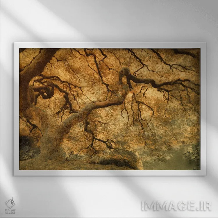 تابلو پیچ و خمها اثر دان شوارتز - نمای قابدار سفید