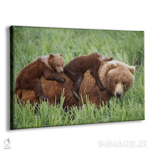 تابلو تولههای گریزلی سوار بر مادرشان در حال عبور از علفزارهای نزدیک رود مکنیل اثر دیزاین پیکس - نمای پرسپکتیو محصول