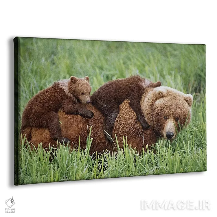 تابلو تولههای گریزلی سوار بر مادرشان در حال عبور از علفزارهای نزدیک رود مکنیل اثر دیزاین پیکس - نمای پرسپکتیو محصول