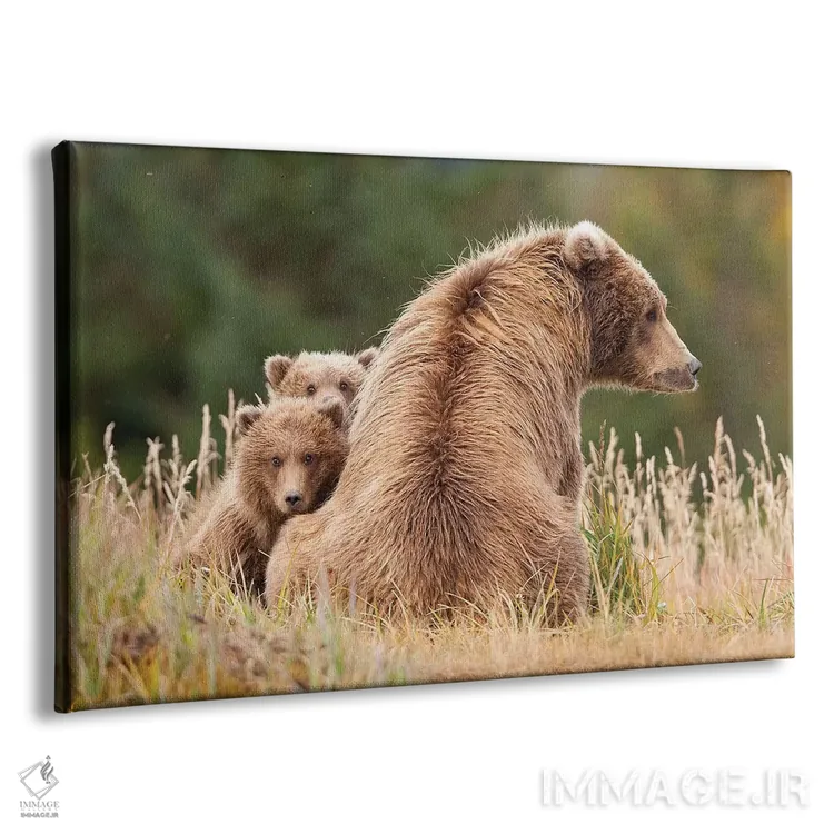 تابلو خرس گریزلی ساحلی با تولههایش در هالو بی، پارک ملی کاتمای آلاسکا اثر دیزاین پیکس - نمای پرسپکتیو محصول
