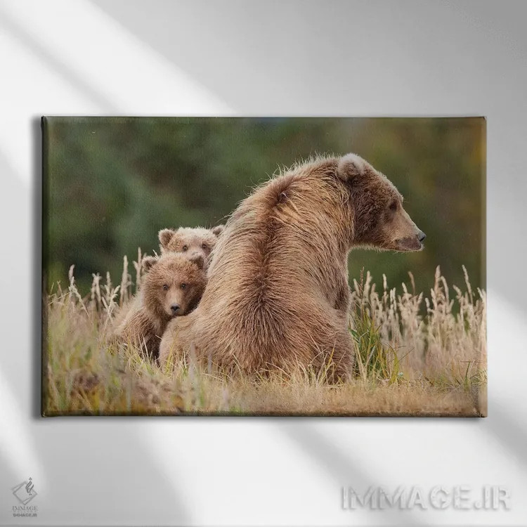 تابلو خرس گریزلی ساحلی با تولههایش در هالو بی، پارک ملی کاتمای آلاسکا اثر دیزاین پیکس - نمای روبهرو روی دیوار