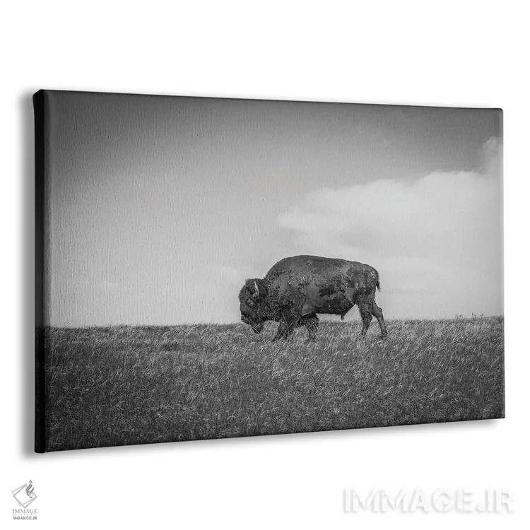 تابلو آخرین بیزون اثر دن اسپرول - نمای پرسپکتیو محصول